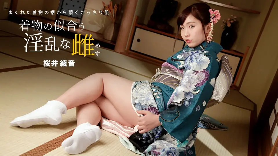 Ayane Sakurai, a lewd woman who looks good in a kimono