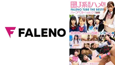 傑作厳選！J系裏垢ハメ撮り FALENO TUBE ハーフベスト！vol.01