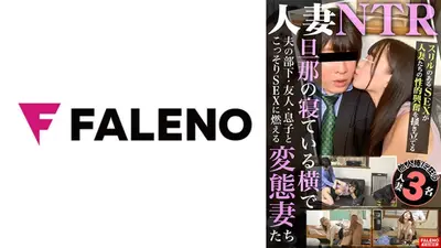 人妻NTR 旦那の寝ている横で夫の部下・友人・息子とこっそりSEXに燃える変態妻たち