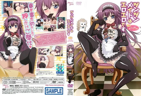 The Tsun Tsun Maid is Erotic Volume 1 I will train my master