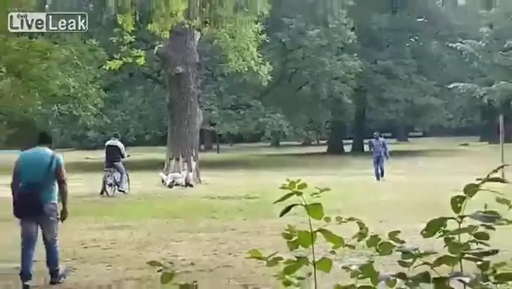 People are having sex in the park, and people are watching and they are getting more and more enthusiastic.