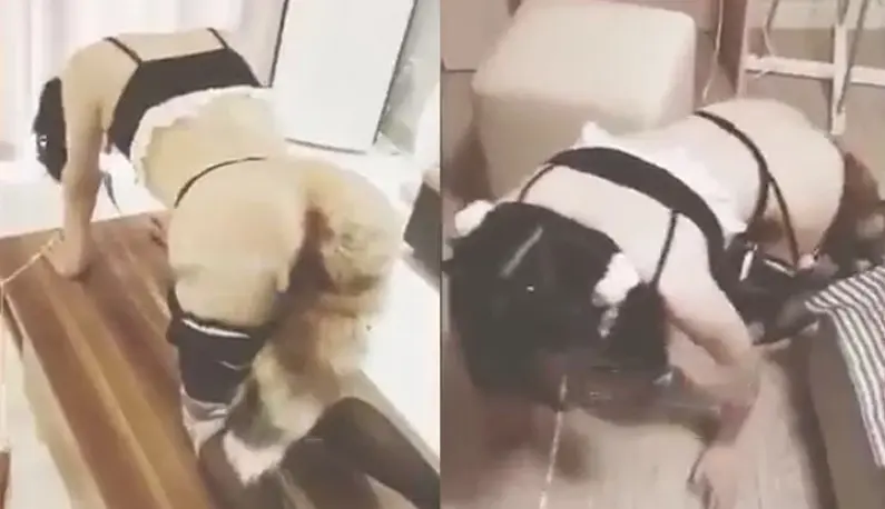 [Training Series] Maid’s Dog Slave Training~Bitch Dog!! Lick my socks!!