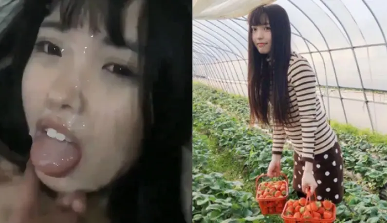 Strawberry girl ignored her after being shot? Her face is full of love juice and she is still longing for Ge Ge’s visit~
