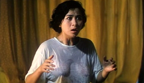 Selected clips from tertiary movies from China, Hong Kong and Taiwan ~ Carina Lau's "Lucky Star"